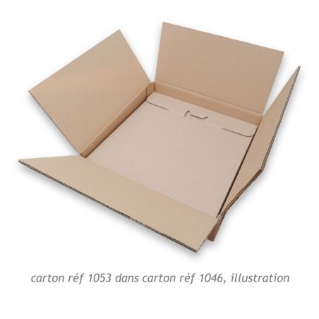 1 carton double cannelure kraft expédition 1-20 33T vinyle