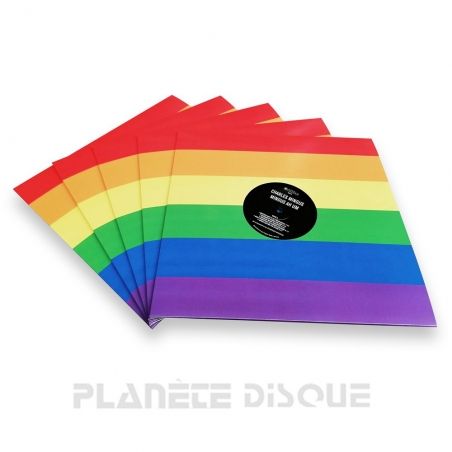 10 LP platenhoezen regenboog met venster